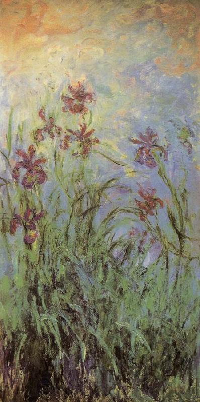 Claude Monet Lilac Irises France oil painting art
